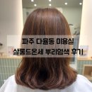 르노삼성자동차 서비스코너 파주교하점 | 파주 운정 다율동 미용실 살롱드온세 뿌리염색 만족스러웠던 후기