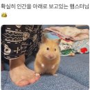 모녀국수 - 부천시 원미구 장말로200번길 48 | 모녀국수