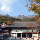 팔공산 이미지