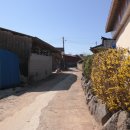 동산3리 이미지