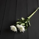 고려병원장례식당 | 의정부을지대학교병원 장례식장에서 봉안당까지 장례비용 등 3일장 장례후기