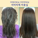 [아라역미용실 추천 ] 아미띠에 모발클리닉 두피클리닉 후기(차영디자이너)
