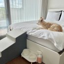 하로홈즈 이미지