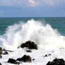 꿈꾸는 섬 이미지