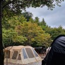 캠프더 포레 이미지