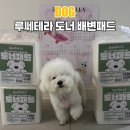 루쎄 | 발도장 걱정 줄여준 흡수력 좋은 강아지배변패드 후기 루쎄테라 도너 배변패드