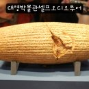 대영파트너스 | 런던 주요 명소 대영박물관 셀프 오디오 투어 가이드