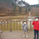 신성대학 부설유치원 이미지