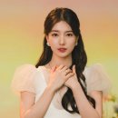 수지 이미지