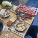 진원소우 티스토리