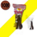 짱!오징어
