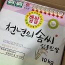 혜풍당 | 부안로컬푸드 텃밭할매몰에서 구매한 신동진쌀 내돈내산 후기