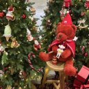 현대백화점 판교점 압소바 | [판교 현대백화점] 크리스마스트리 + 나이키 보메로...내 돈 내산 구매 + 식물 가게 팝업 + 압소바 아기 옷