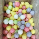 꽃향 Daum카페