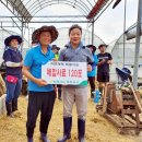 충청 축산 이미지