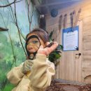 청수유치원 | 40개월 아기랑 인천실내동물원 쥬벅스 방문후기!!