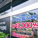 한양정육점 - 오산시 오산로278번길 9 | 한양정육점
