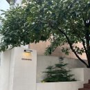 그랑여관 이미지