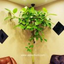 김정수치과의원 이미지