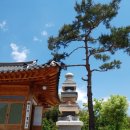 대각디앤씨(주) 네이버블로그