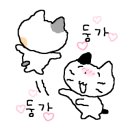 협재 만당 이미지