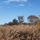 최정산 누리길 이미지