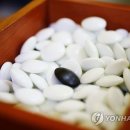 [알쏭달쏭 바다세상] ⑪ 조개 중 으뜸이자 최고급 바둑알 재료인 이것은? 이미지