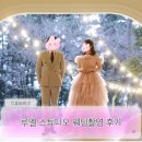 W-4. 루엘 스튜디오 웨딩촬영 후기(실내 1층(아델), 옥상(미카도)+중단발 헤어변형)