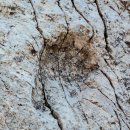 우연한발견 이미지