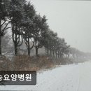 예송요양병원 네이버블로그