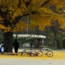 부항초교 이미지