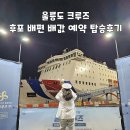 영일목재(주) | 울릉도 크루즈 후포 배편 배값 예약 탑승 후기