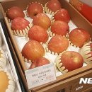 상대청과