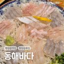 동해바다 | 평창읍 유일한 바다생선 횟집에서 모듬 회코스 A 먹은 후기, 동해바다