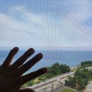 강원도 동해 방충망 평릉동 코아루디오션 아파트 후기!