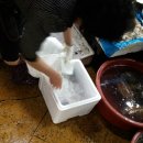 합동상회 - 진주시 | 합동상회