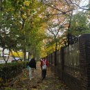 드림솔병원 | 어썸 스테이지 씨엔블루 첫 콘서트 관람 후기 및 일상