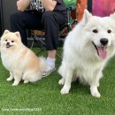 젤리베어 홀리데이 | [파주:심학산] 젤리베어홀리데이 카페/호텔이용후기 재방문의사100% (내돈내산)