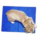 우쭈쭈 애견샵 이미지