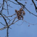 물버들마을 이미지