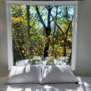 스테이 사계 이미지