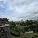 수원-0714 네이버블로그