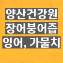 교동건강원