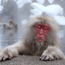 탕정온천 더프라하 스파 이미지