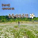 리틀야구장 화장실 이미지