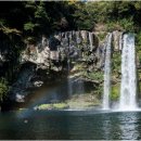 천지연 앞 이미지