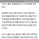 ㅇㅇㅇ, 신곡 ‘오월의 어느 봄날’ 티저 공개..엑소 첸과 특급 듀엣 이미지
