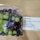 미소 한약국 이미지