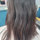 더샵헤어 | [포항]더샵헤어 | 양덕 미용실에서 여성 커트 후기