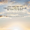 사랑으로 이미지